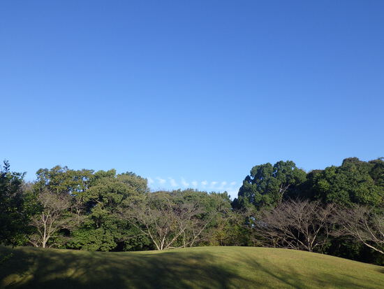 【はままつの空】10/31~11/6　一週間の空の欠片まとめ