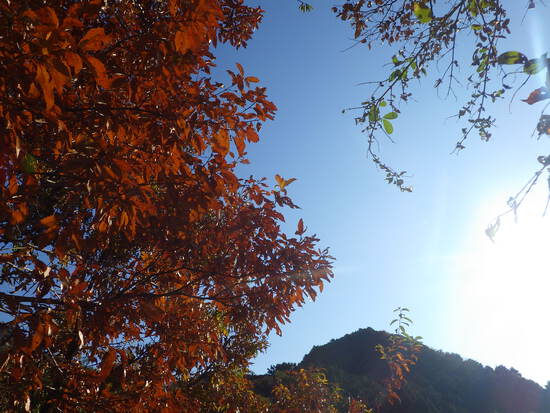 【はままつの空】11/7~11/13　一週間の空の欠片まとめ