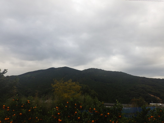 【はままつの空】11/14~11/20　一週間の空の欠片まとめ