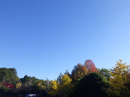 【はままつの空】11/14~11/20　一週間の空の欠片まとめ