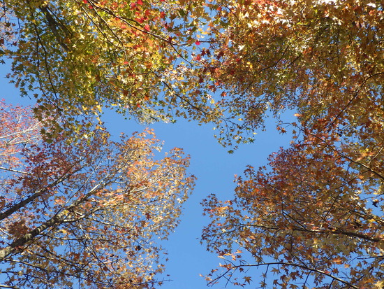 【はままつの空】11/14~11/20　一週間の空の欠片まとめ