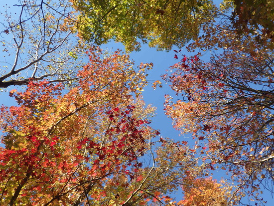 【はままつの空】11/14~11/20　一週間の空の欠片まとめ