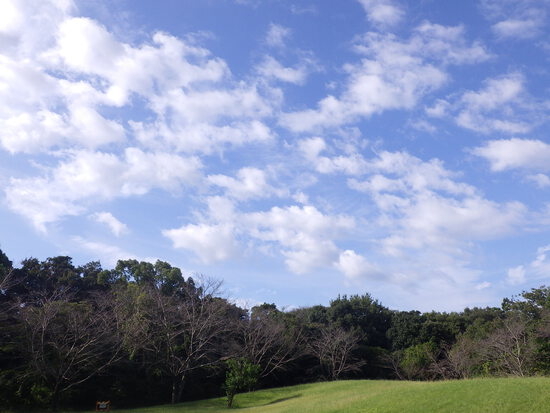 【はままつの空2023】10/2～10/8　一週間の空の欠片まとめ