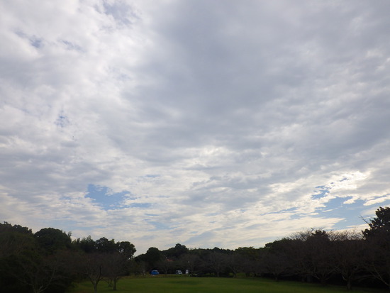 【はままつの空2023】10/2～10/8　一週間の空の欠片まとめ