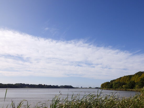 【はままつの空2023】10/2～10/8　一週間の空の欠片まとめ