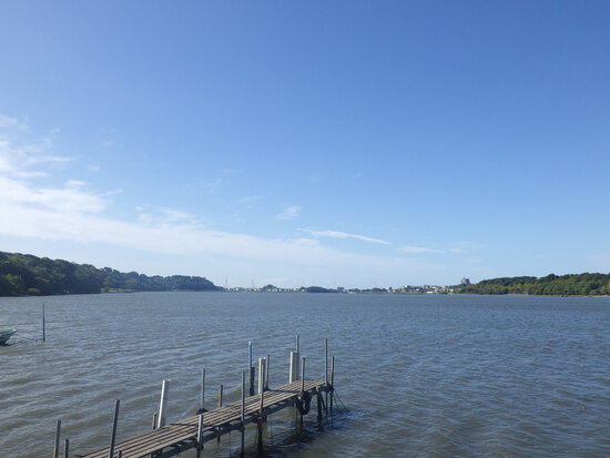 【秋の気配をさがして】佐鳴湖畔に咲く花＆はままつの空
