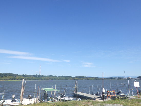 【秋の気配をさがして】佐鳴湖畔に咲く花＆はままつの空