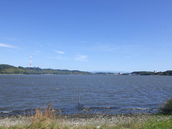 【秋の気配をさがして】佐鳴湖畔に咲く花＆はままつの空