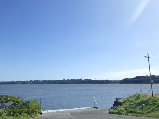 【秋の気配をさがして】佐鳴湖畔に咲く花＆はままつの空