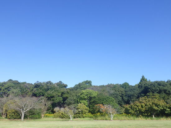 【はままつの空2023】10/16～10/22　一週間の空の欠片まとめ