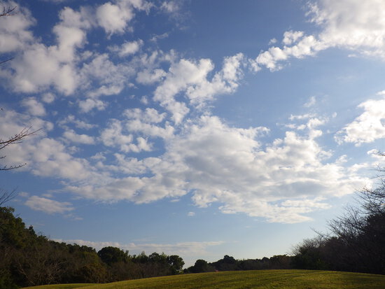 【はままつの空2023】10/16～10/22　一週間の空の欠片まとめ