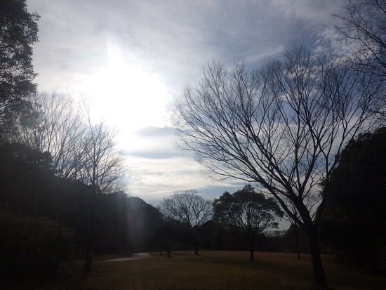 【はままつの空】2/14～2/20　一週間の空の欠片まとめ