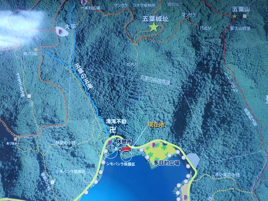 湖西連峰・坊ヶ峰へ！五葉の五滝・平尾山から冷風吹く稜線を縦走往復