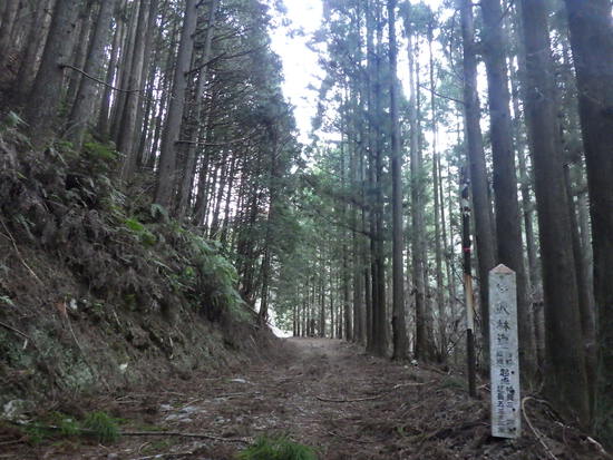 遠州森町の秘境・大日山をかわせみ湖から周回①　杉沢の大滝