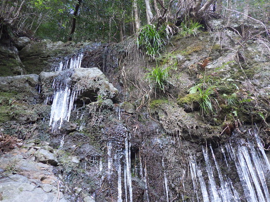 遠州森町の秘境・大日山をかわせみ湖から周回①　杉沢の大滝