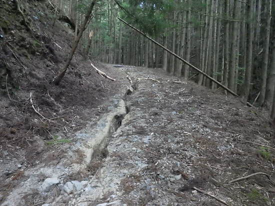 遠州森町の秘境・大日山をかわせみ湖から周回②　急登の尾根道