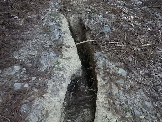 遠州森町の秘境・大日山をかわせみ湖から周回②　急登の尾根道