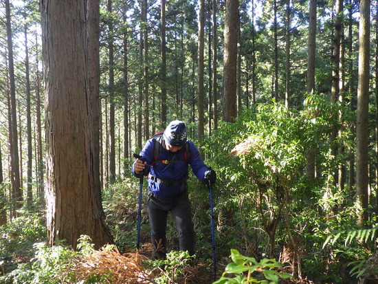 遠州森町の秘境・大日山をかわせみ湖から周回②　急登の尾根道