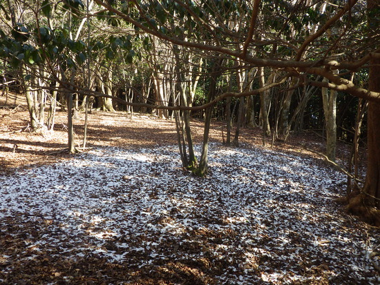 遠州森町の秘境・大日山をかわせみ湖から周回②　急登の尾根道