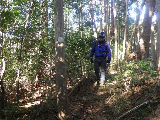 遠州森町の秘境・大日山をかわせみ湖から周回②　急登の尾根道