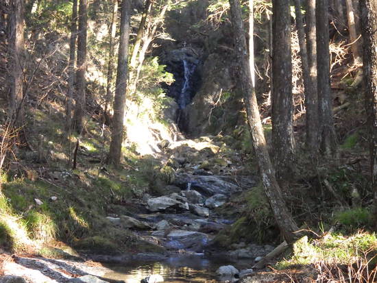 くんま水車の里から鳶ノ巣山・大日山を稜線縦走　急登と藪漕ぎを満悦