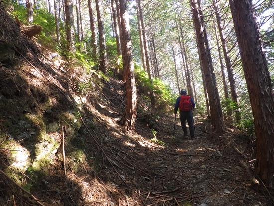 くんま水車の里から鳶ノ巣山・大日山を稜線縦走　急登と藪漕ぎを満悦