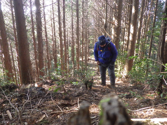 くんま水車の里から鳶ノ巣山・大日山を稜線縦走　急登と藪漕ぎを満悦