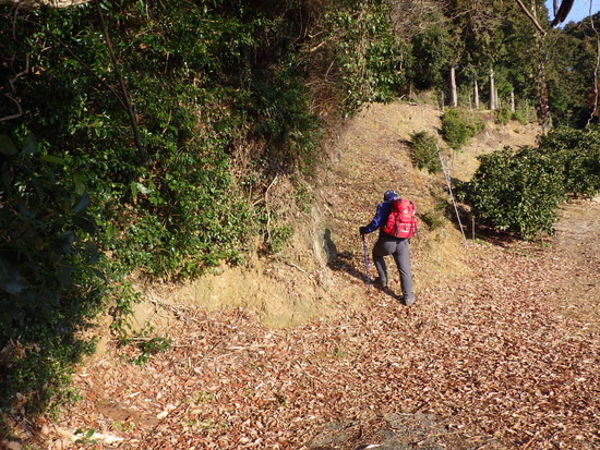 湖西連峰・坊ヶ峰へ！平山登山口から中山峠を冒険！三角点と新ルート探索