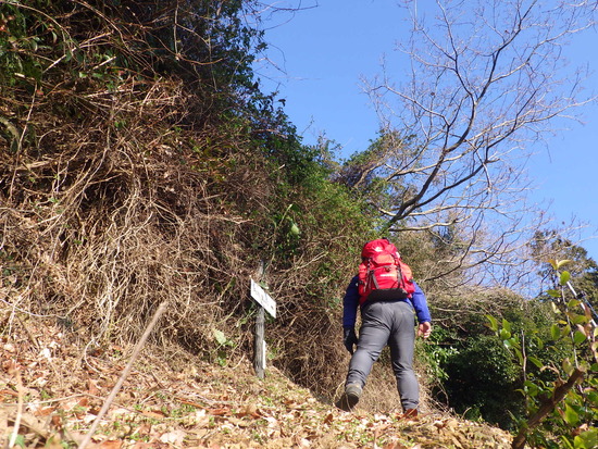 湖西連峰・坊ヶ峰へ！平山登山口から中山峠を冒険！三角点と新ルート探索