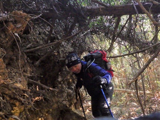 湖西連峰・坊ヶ峰へ！平山登山口から中山峠を冒険！三角点と新ルート探索
