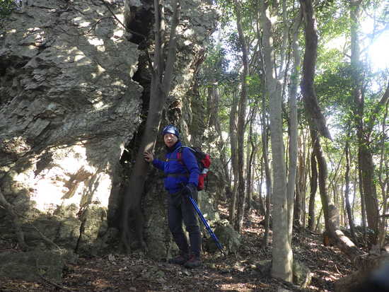 湖西連峰・坊ヶ峰へ！平山登山口から中山峠を冒険！三角点と新ルート探索