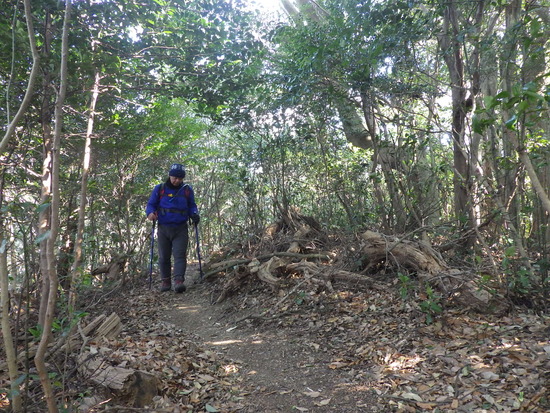 湖西連峰・坊ヶ峰へ！平山登山口から中山峠を冒険！三角点と新ルート探索