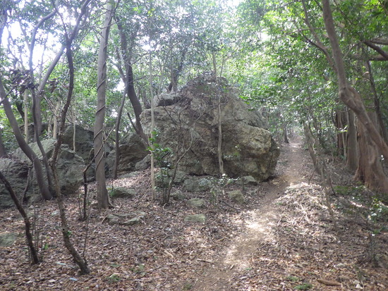 湖西連峰・坊ヶ峰へ！平山登山口から中山峠を冒険！三角点と新ルート探索