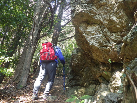 湖西連峰・坊ヶ峰へ！平山登山口から中山峠を冒険！三角点と新ルート探索