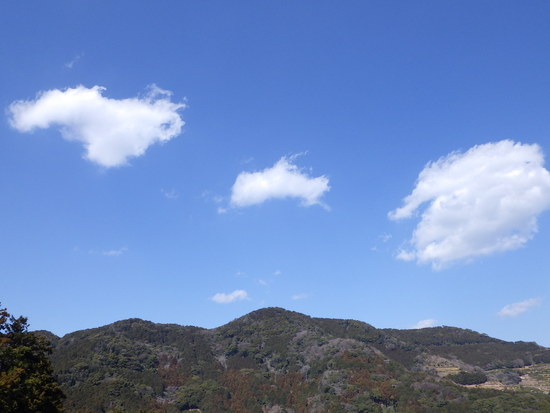 湖西連峰・坊ヶ峰へ！平山登山口から中山峠を冒険！三角点と新ルート探索