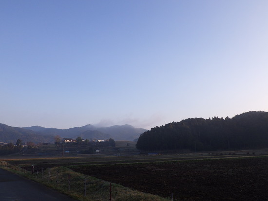 雨生山と金山を世界の桜の園から周回！早春の心地よい風の中を低山歩き