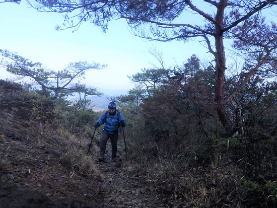 雨生山と金山を世界の桜の園から周回！早春の心地よい風の中を低山歩き