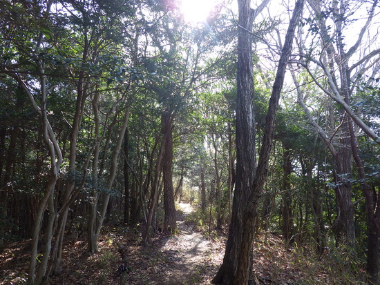 雨生山と金山を世界の桜の園から周回！早春の心地よい風の中を低山歩き