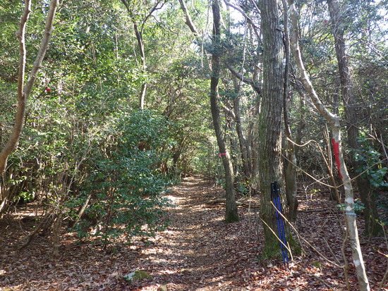 雨生山と金山を世界の桜の園から周回！早春の心地よい風の中を低山歩き