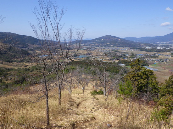 雨生山と金山を世界の桜の園から周回！早春の心地よい風の中を低山歩き