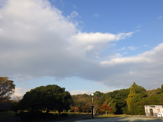 【はままつの空2023】11/20～11/26　一週間の空の欠片まとめ