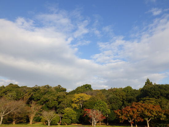 【はままつの空2023】11/20～11/26　一週間の空の欠片まとめ