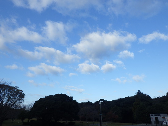 【はままつの空2023】11/20～11/26　一週間の空の欠片まとめ