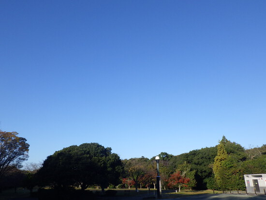 【はままつの空2023】11/20～11/26　一週間の空の欠片まとめ