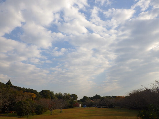 【はままつの空2023】11/20～11/26　一週間の空の欠片まとめ