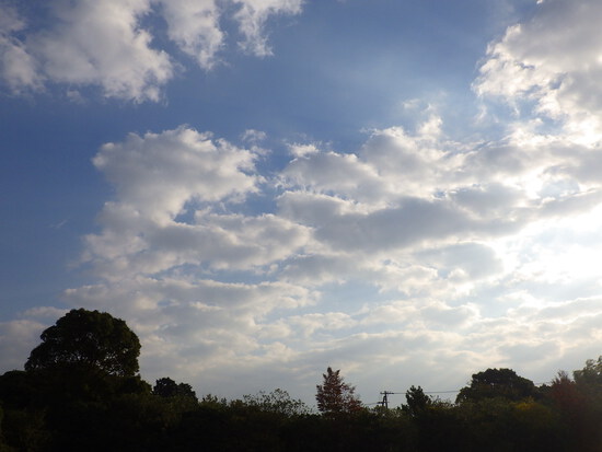 【はままつの空2023】11/20～11/26　一週間の空の欠片まとめ