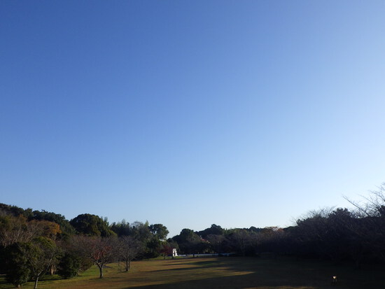 【はままつの空2023】11/27～12/3　一週間の空の欠片まとめ