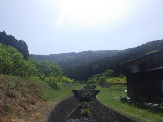 湖西連峰・坊ヶ峰へ！豊川道と長彦自然歩道で大知波峠越え　黄砂舞う空の下を山歩