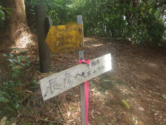 湖西連峰・坊ヶ峰へ！豊川道と長彦自然歩道で大知波峠越え　黄砂舞う空の下を山歩