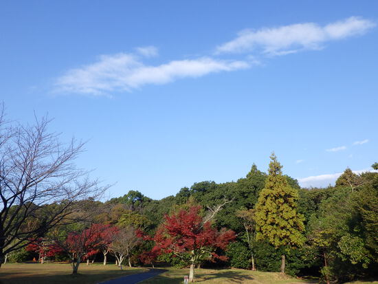 【はままつの空2023】11/27～12/3　一週間の空の欠片まとめ